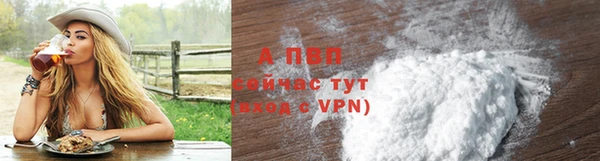 ECSTASY Богородицк