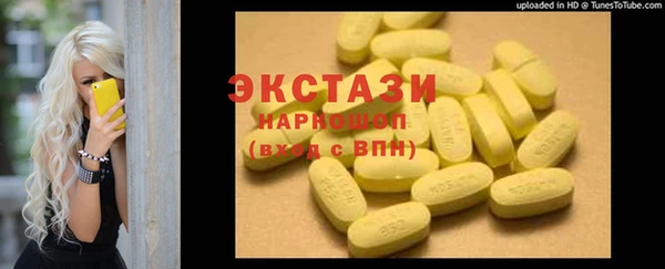ECSTASY Богородицк