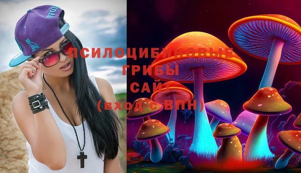 гашиш Богородск