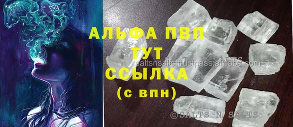 ECSTASY Богородицк