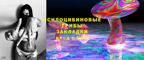 ECSTASY Богородицк