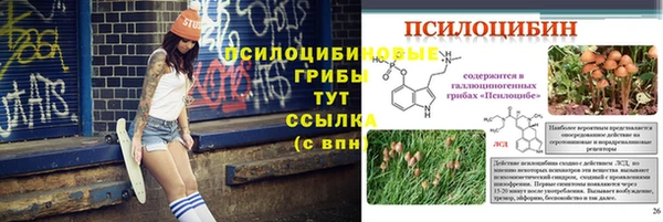 гашиш Богородск