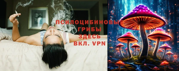 круглые Богданович