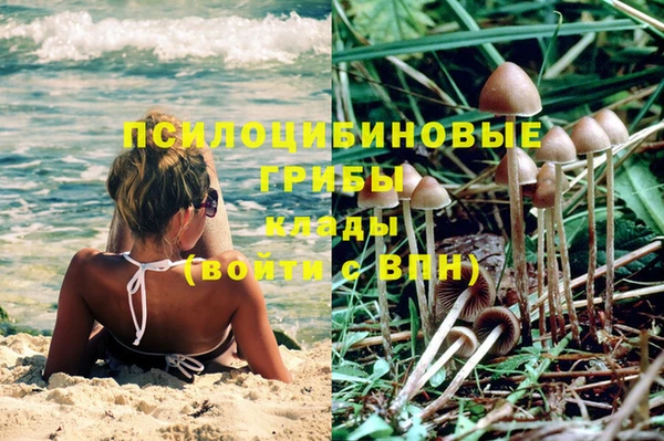 гашиш Богородск