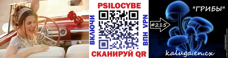 кракен сайт  Давлеканово  Галлюциногенные грибы Psilocybine cubensis  наркота 